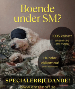 hotell entre norr sm veckan