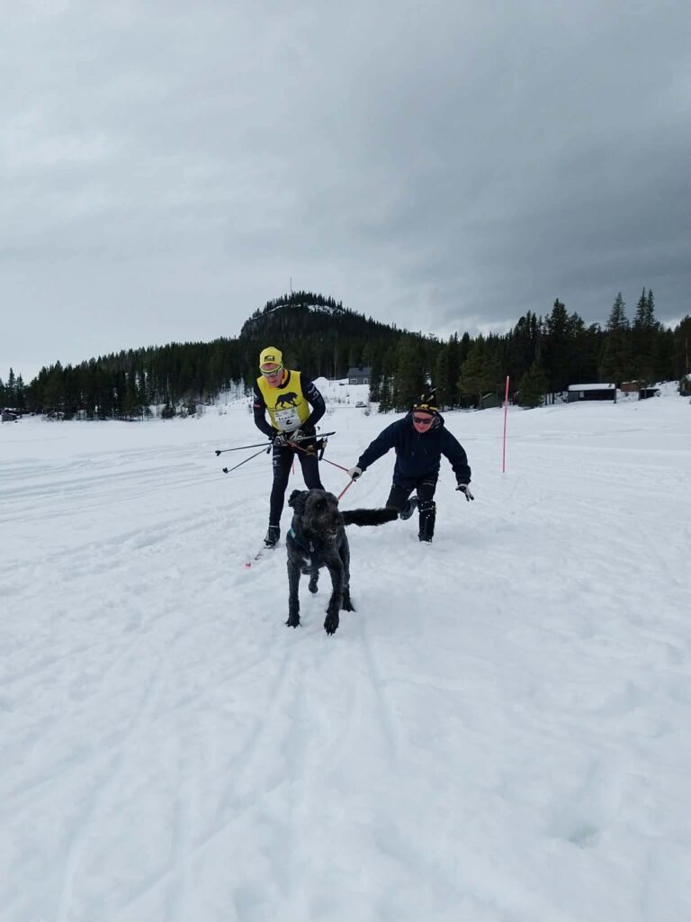 Vindelälvsdraget image 100
