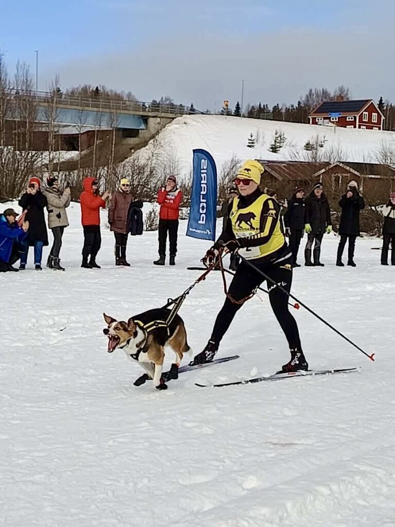 Vindelälvsdraget image (41)