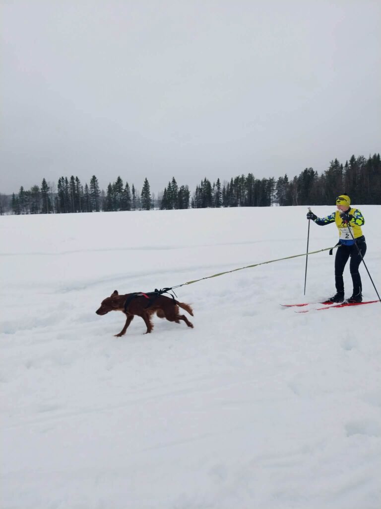 Vindelälvsdraget image 75